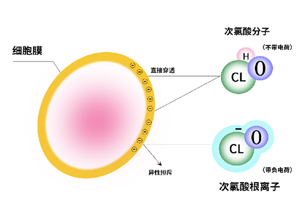 適合寶寶用的次氯酸消毒液 適合寶寶用的次氯酸消毒液