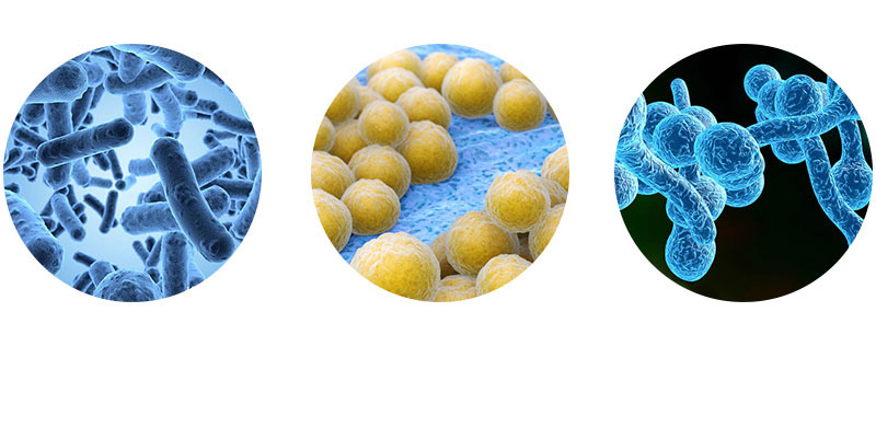 次氯酸發生器原理 次氯酸發生器原理