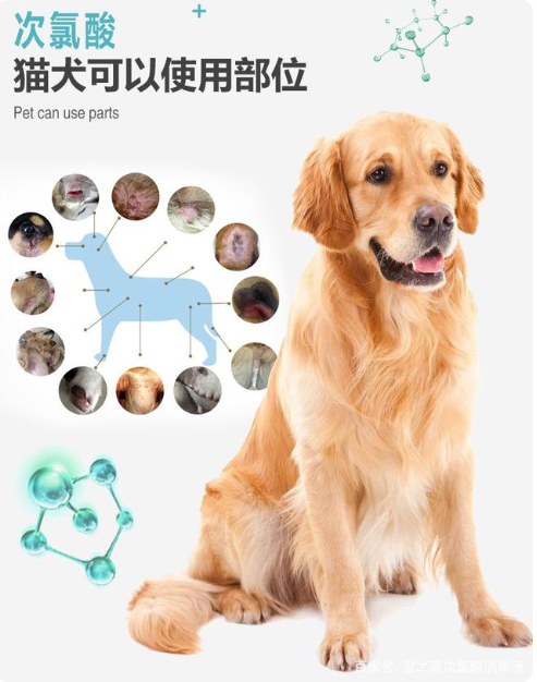 次氯酸對(duì)寵物的消毒 次氯酸對(duì)寵物的消毒