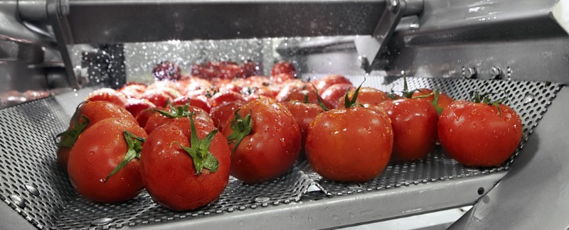 次氯酸發生器-凈菜保鮮中的應用 次氯酸發生器-凈菜保鮮中的應用