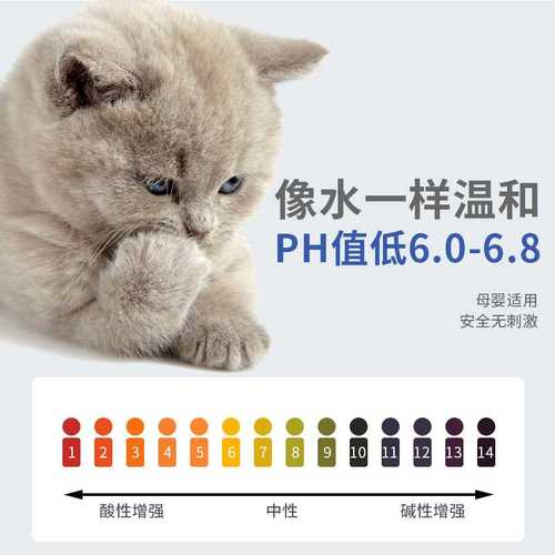 11.10-1.jpg