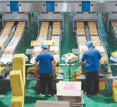 食品加工業(yè)