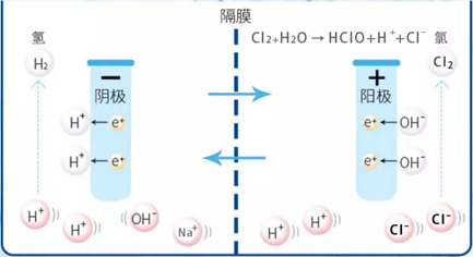 次氯酸發生器殺菌